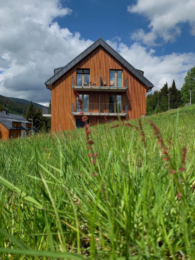 Apartman U Lomu Долни-Морава Экстерьер фото